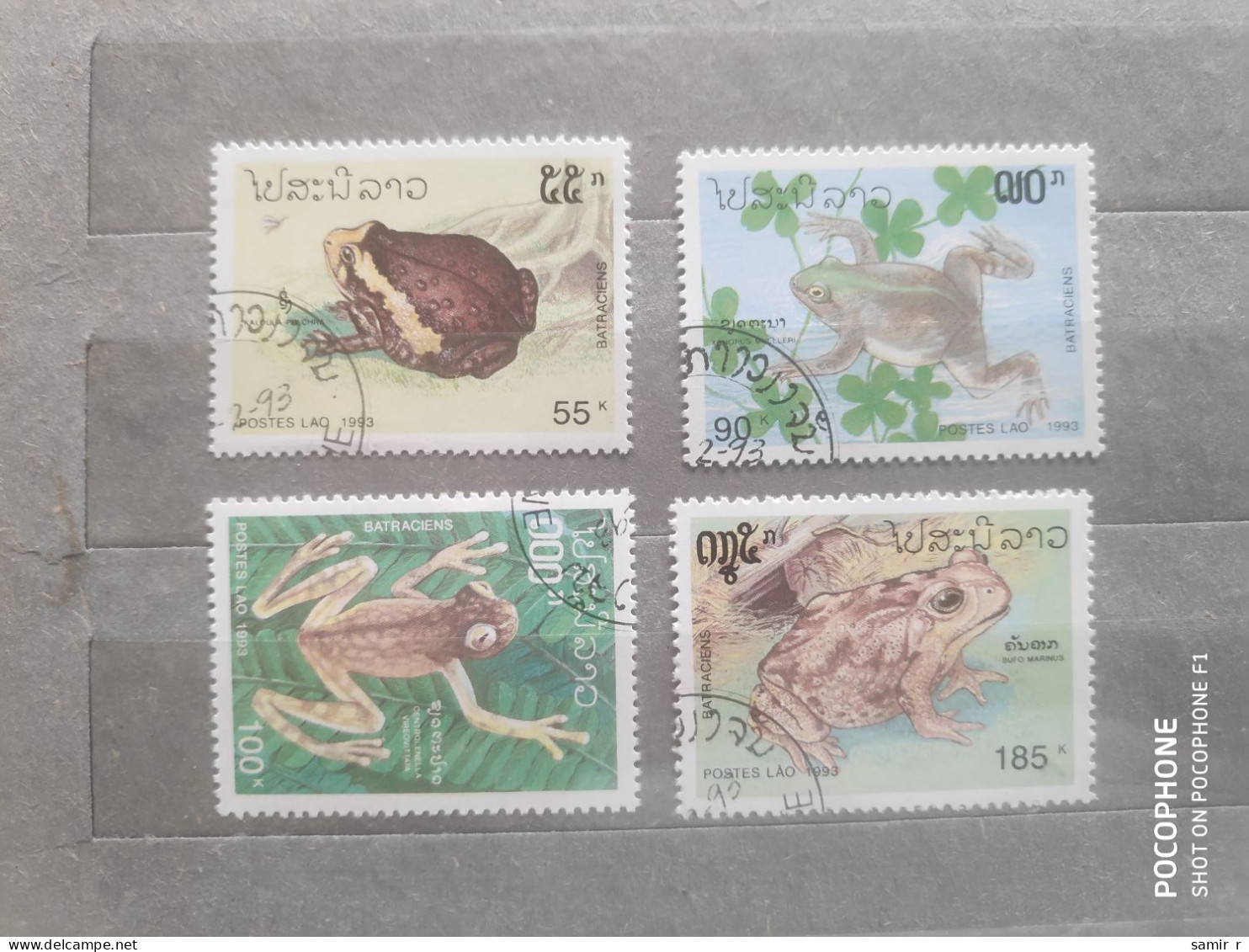 1993	Laos	Frogs (F97) - Laos