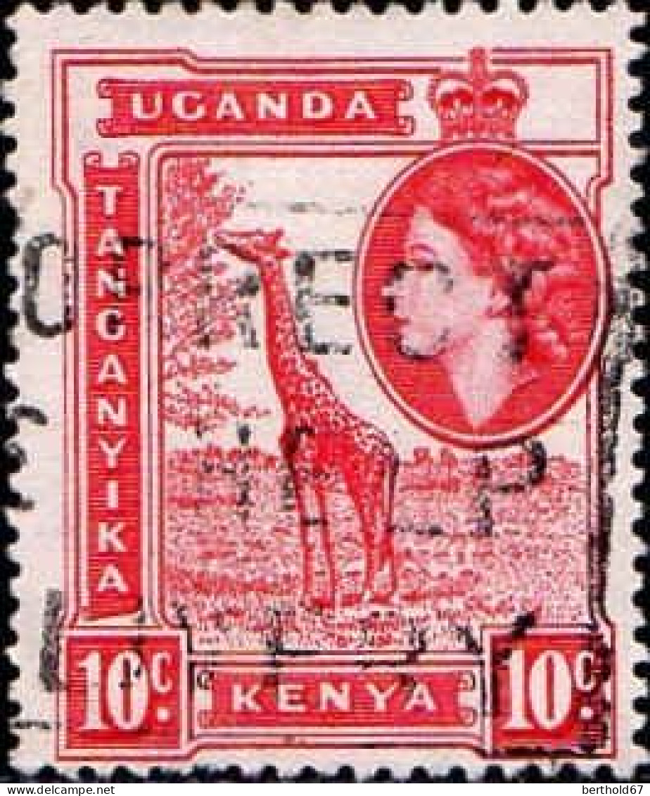 Kenya (Col.Brit.) Poste Obl Yv:91 Mi:93 Elisabeth II & Girage (Belle Obl.mécanique) - Kenya, Uganda & Tanganyika