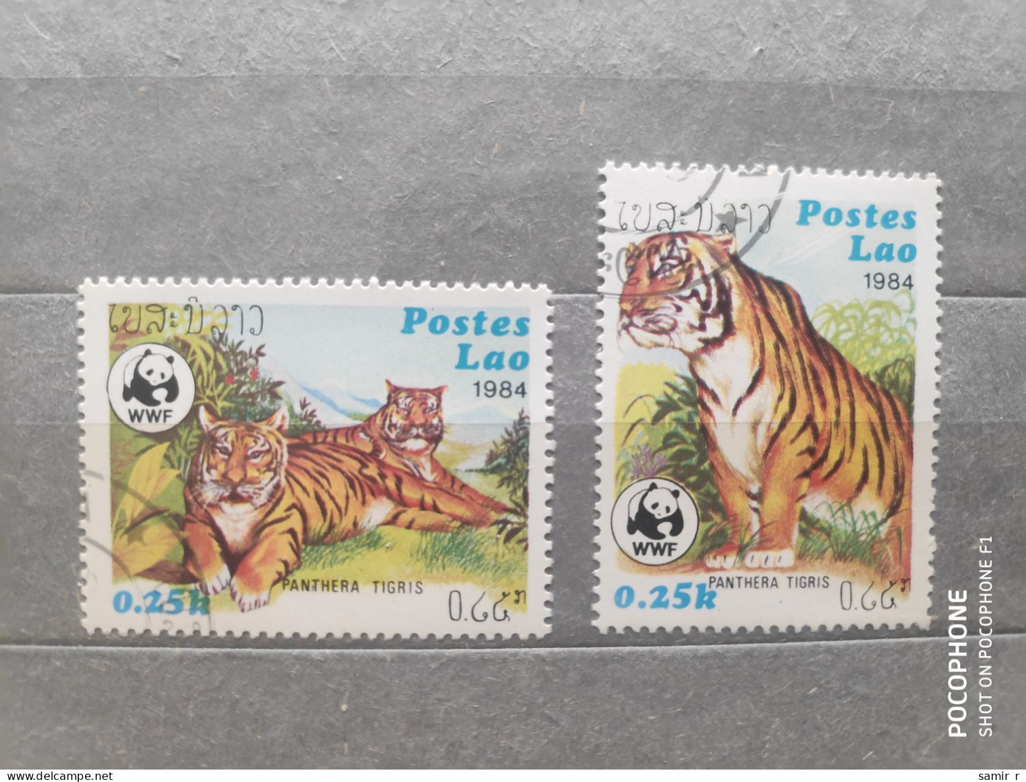 1984	Laos	Cats (F97) - Laos