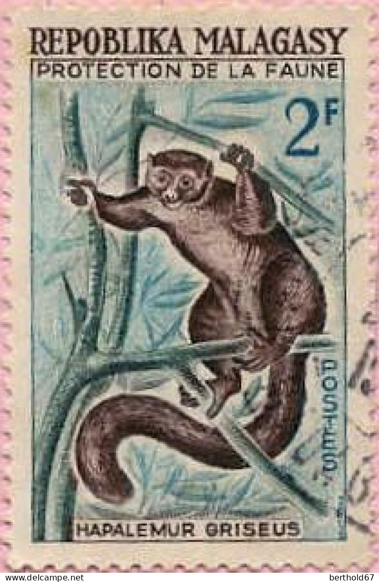 Madagascar (Rep) Poste Obl Yv: 357 Mi:467 Hapalemur Griseus Lémurien (cachet Rond) - Madagaskar (1960-...)