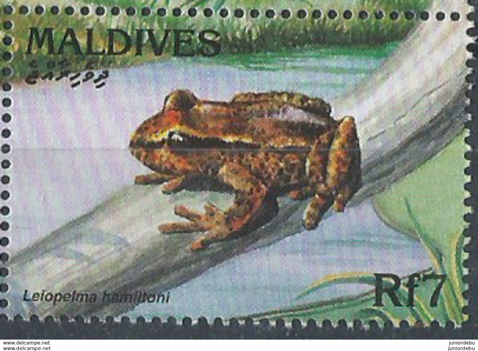 Maldives  -1996  - Fauna - Lelopelma Hamiltoni - MNH. ( OL 28/05/2019 ) - Maldives (1965-...)