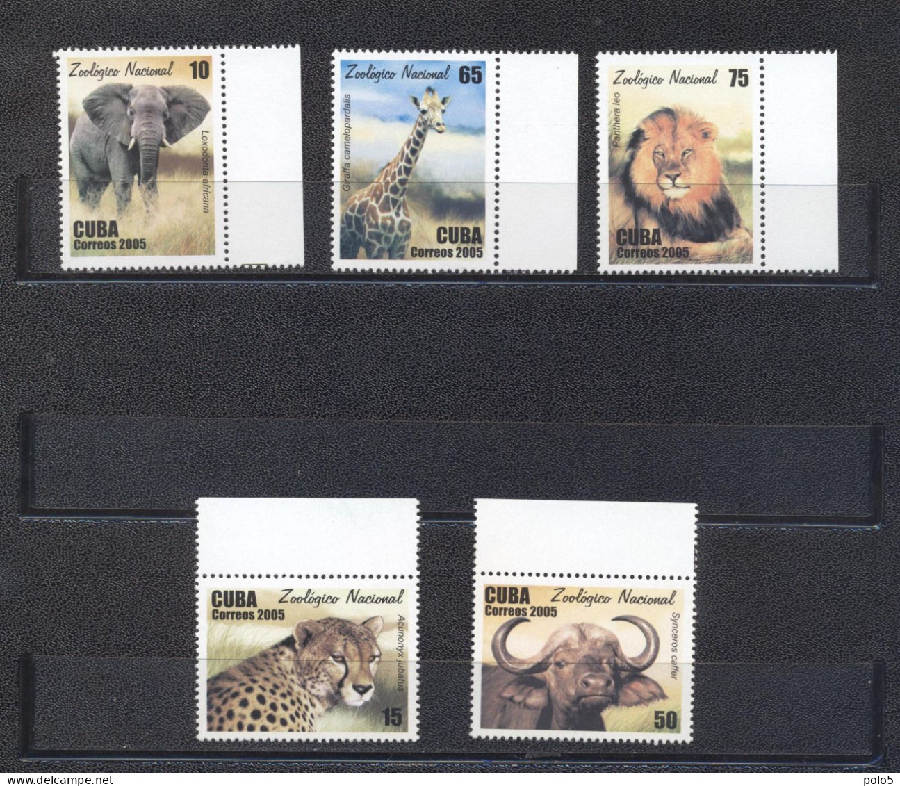 Cuba 2005- National Zoo Set (5v) - Unused Stamps