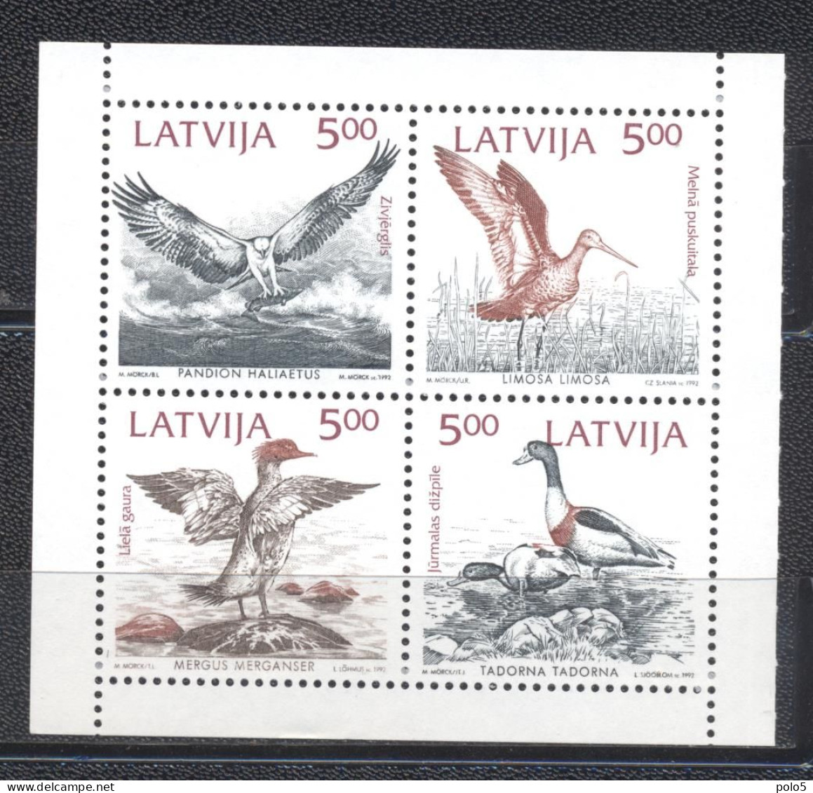 Lettonie 1992- Birds Of The Baltic Block Of 4v - Lettland