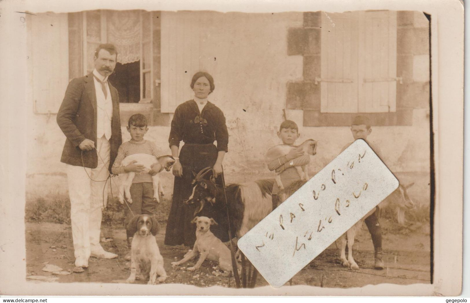 SAINT HERNIN  - La Famille D'Henri Le Bihan Qui Pose ( Carte Photo ) - Andere & Zonder Classificatie