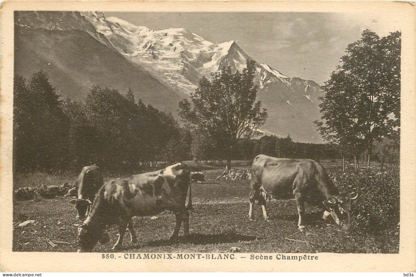 74 - CHAMONIX - MONT BLANC - SCENE CHAMPETRE - Chamonix-Mont-Blanc