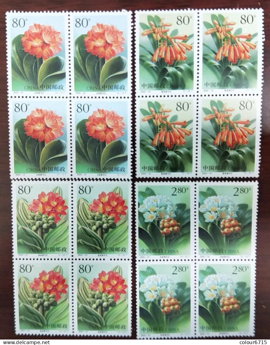China 2000/2000-24 Flowers—Clivia Stamps 4v Block Of 4 MNH - Ungebraucht