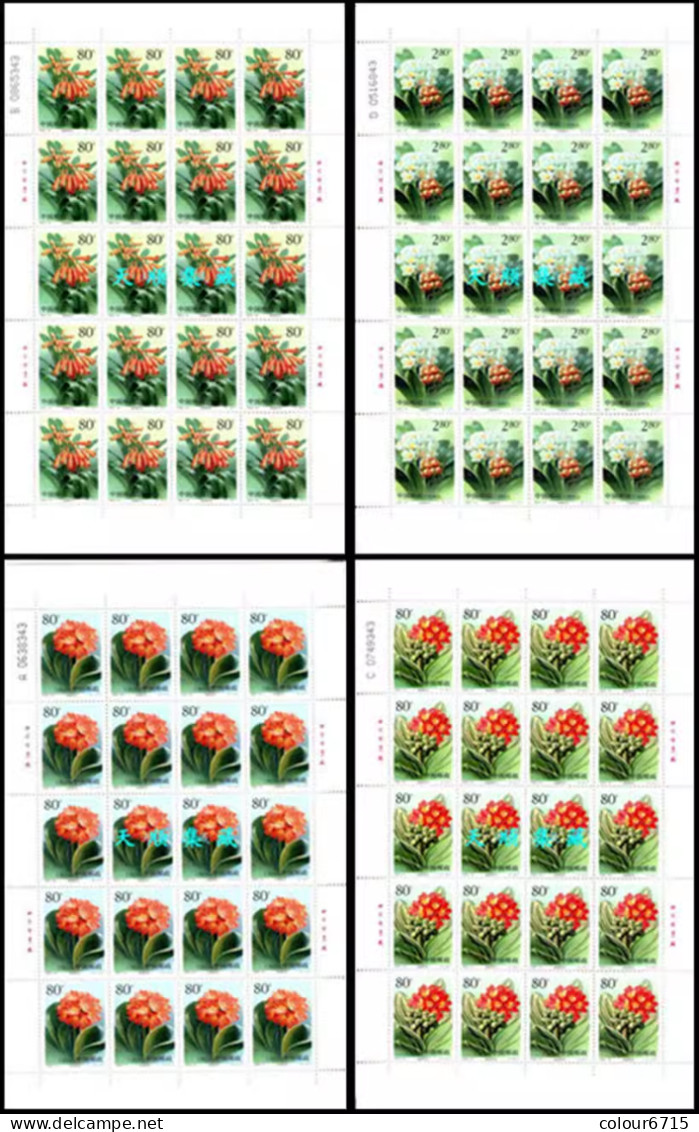 China 2000/2000-24 Flowers—Clivia Stamp Full Sheet 4v MNH - Hojas Bloque