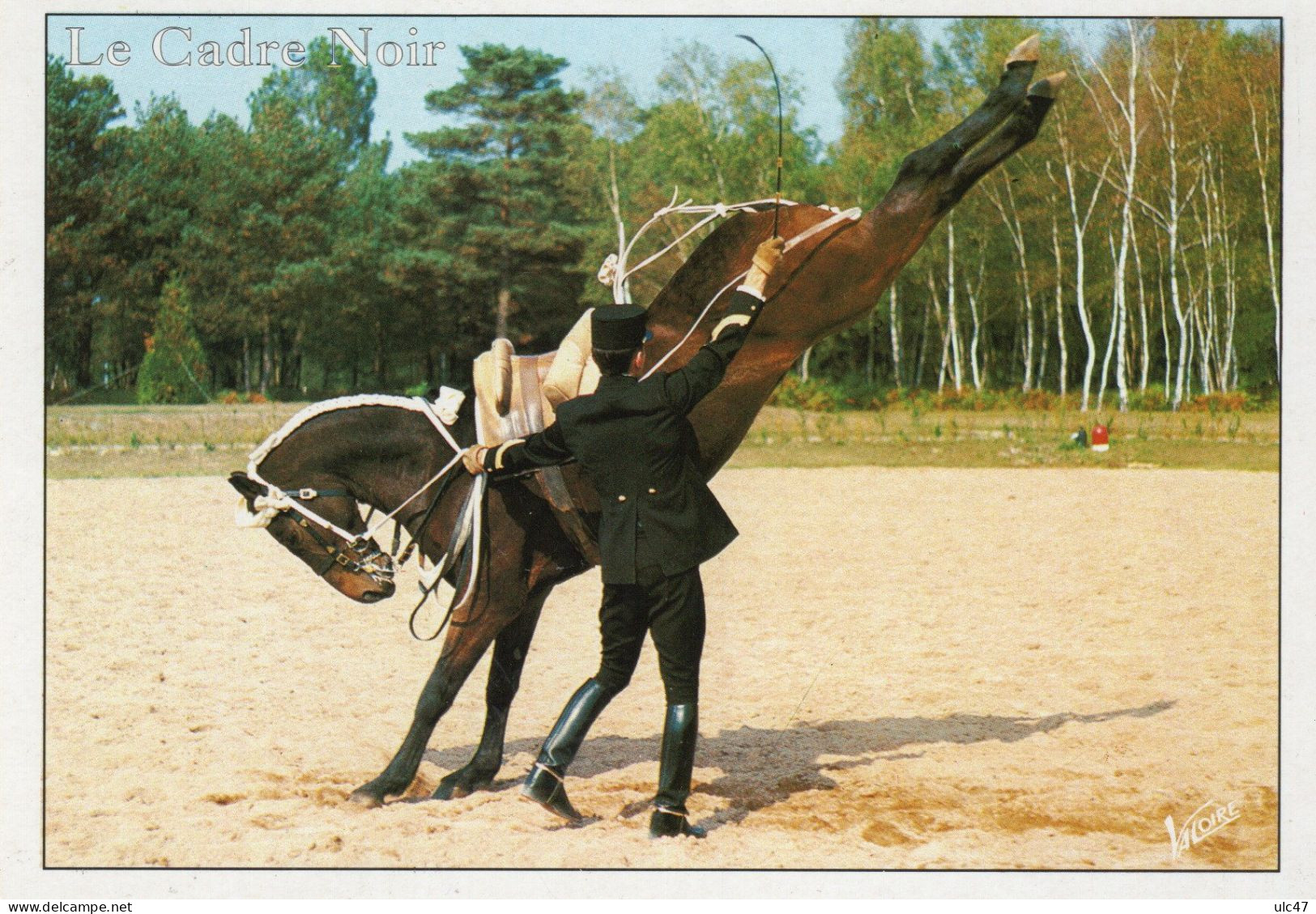 - SAUMUR. - Ecole Nationale D'Equitation - LE CADRE VOIR - "Une Croupade". - - Pferde