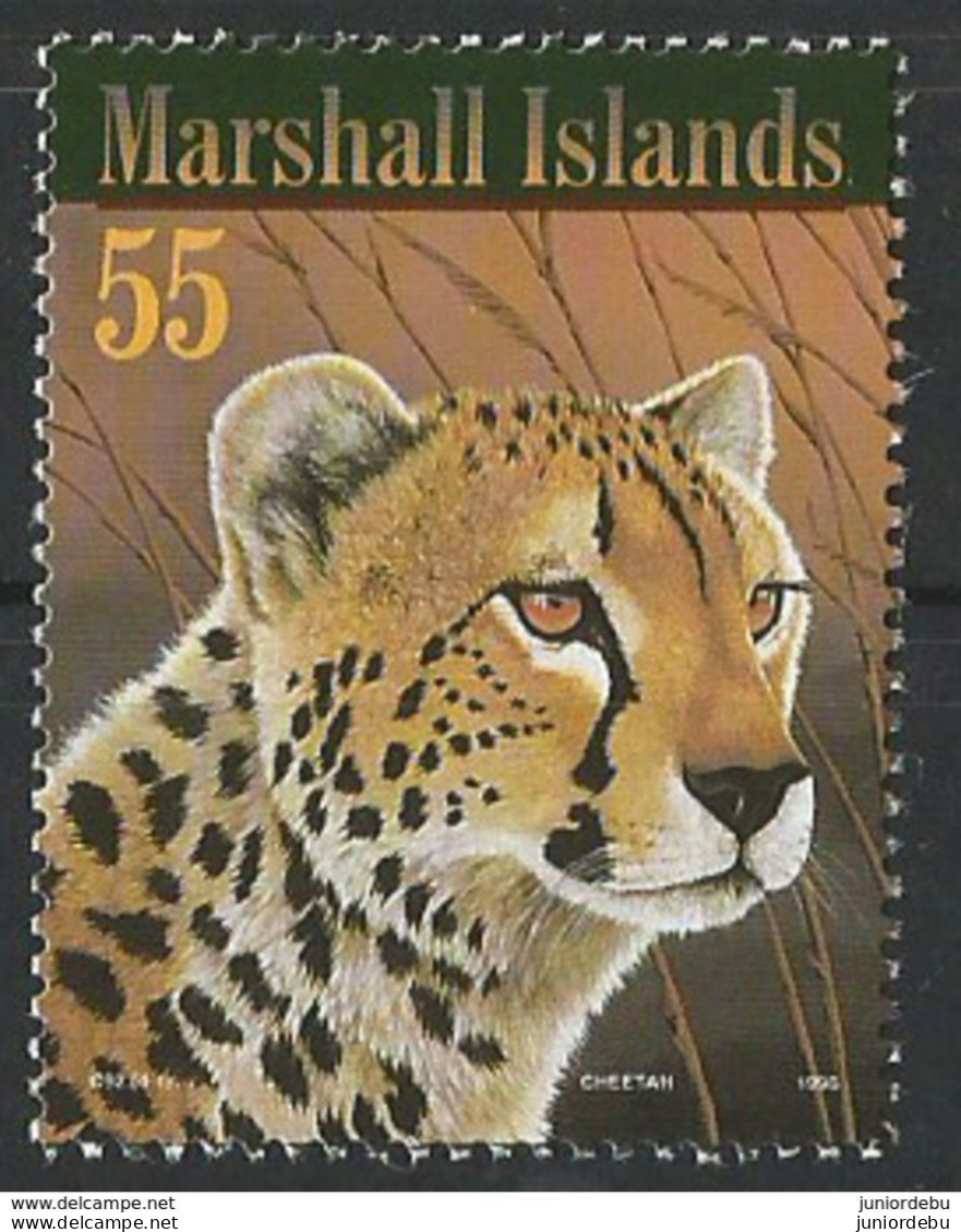 Marshall Islands - 1996 - Big Cats - 3 Diff   -  MNH  ( Condition As Per Scan ) ( OL 24/02/2019 ) - Félins