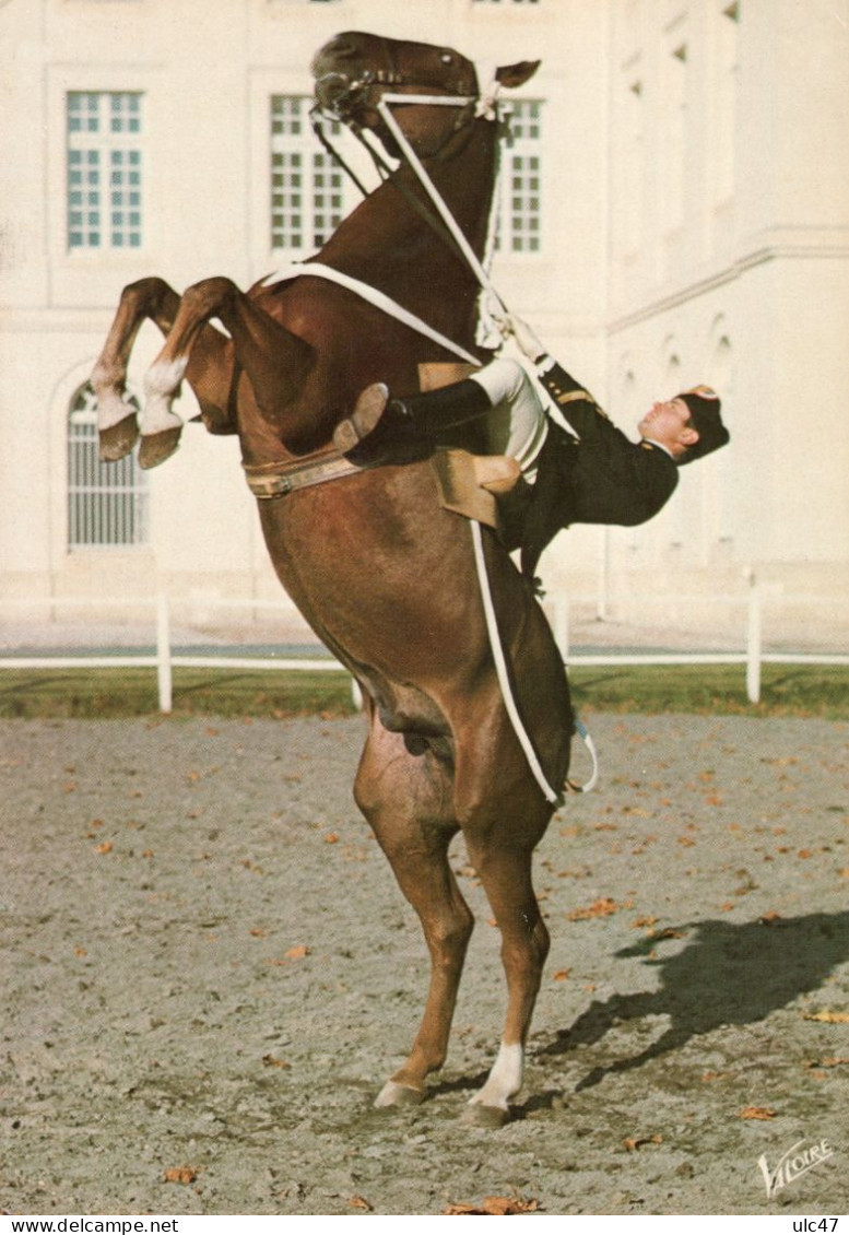 - SAUMUR. - Ecole Nationale D'Equitation - LE CADRE VOIR - "La Courbette". - - Pferde
