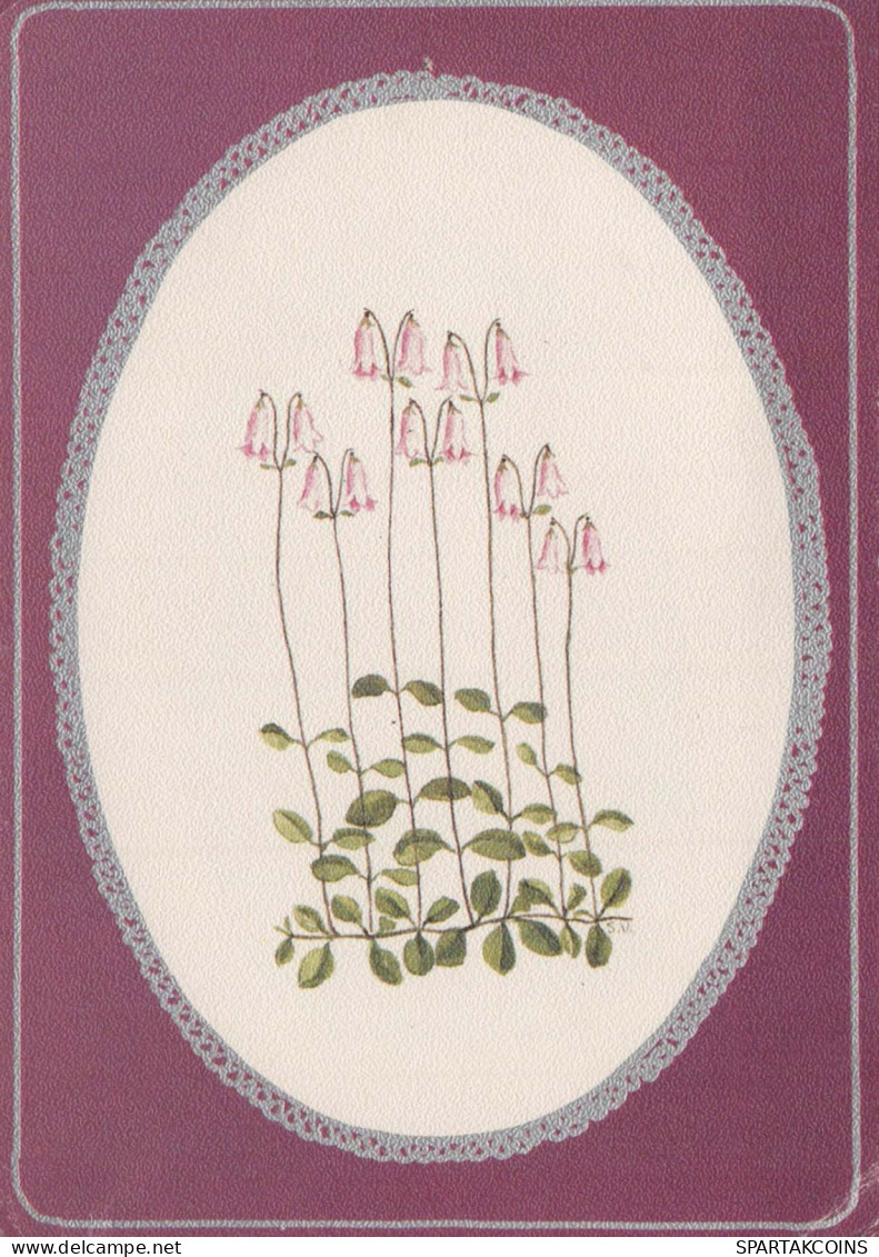 FLEURS Vintage Carte Postale CPSM #PAR526.A - Fleurs