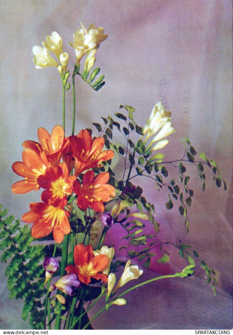 FLORES Vintage Tarjeta Postal CPSM #PAR569.A - Flowers