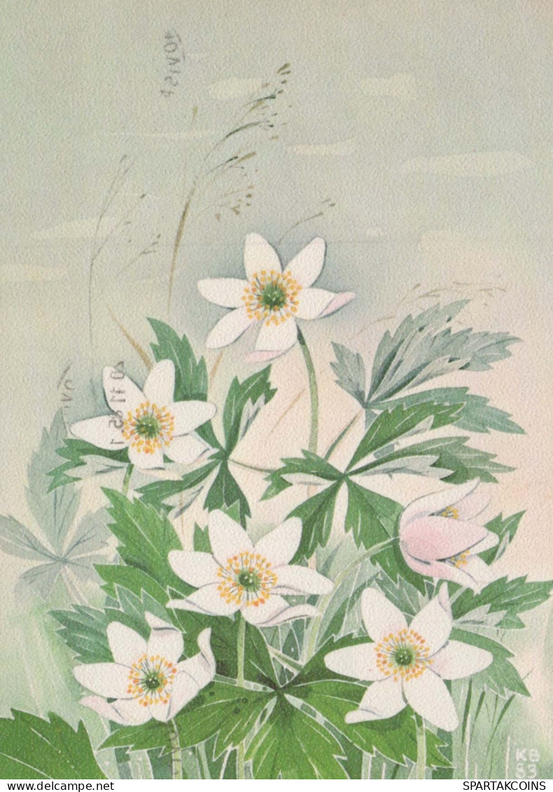 FLOWERS Vintage Ansichtskarte Postkarte CPSM #PAR457.A - Flowers