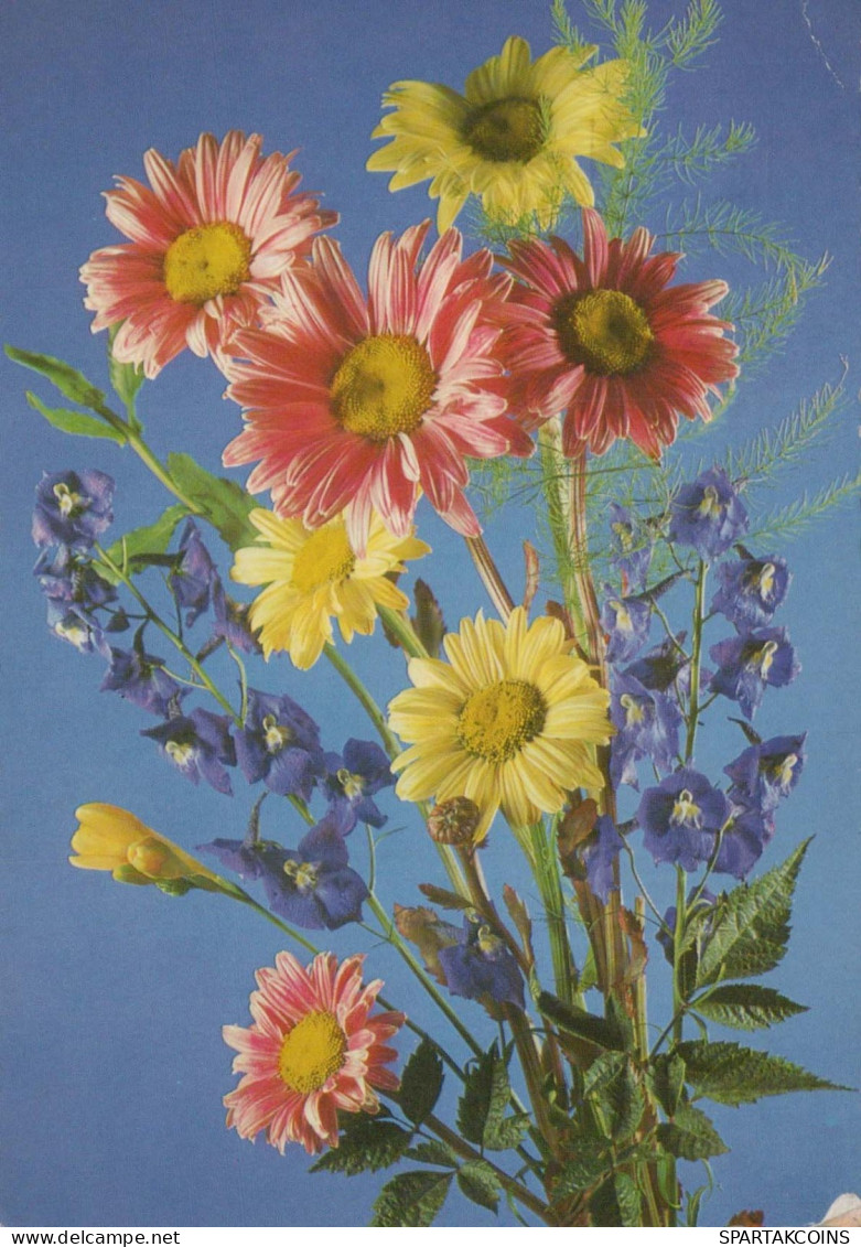 FLOWERS Vintage Ansichtskarte Postkarte CPSM #PAR332.A - Flowers
