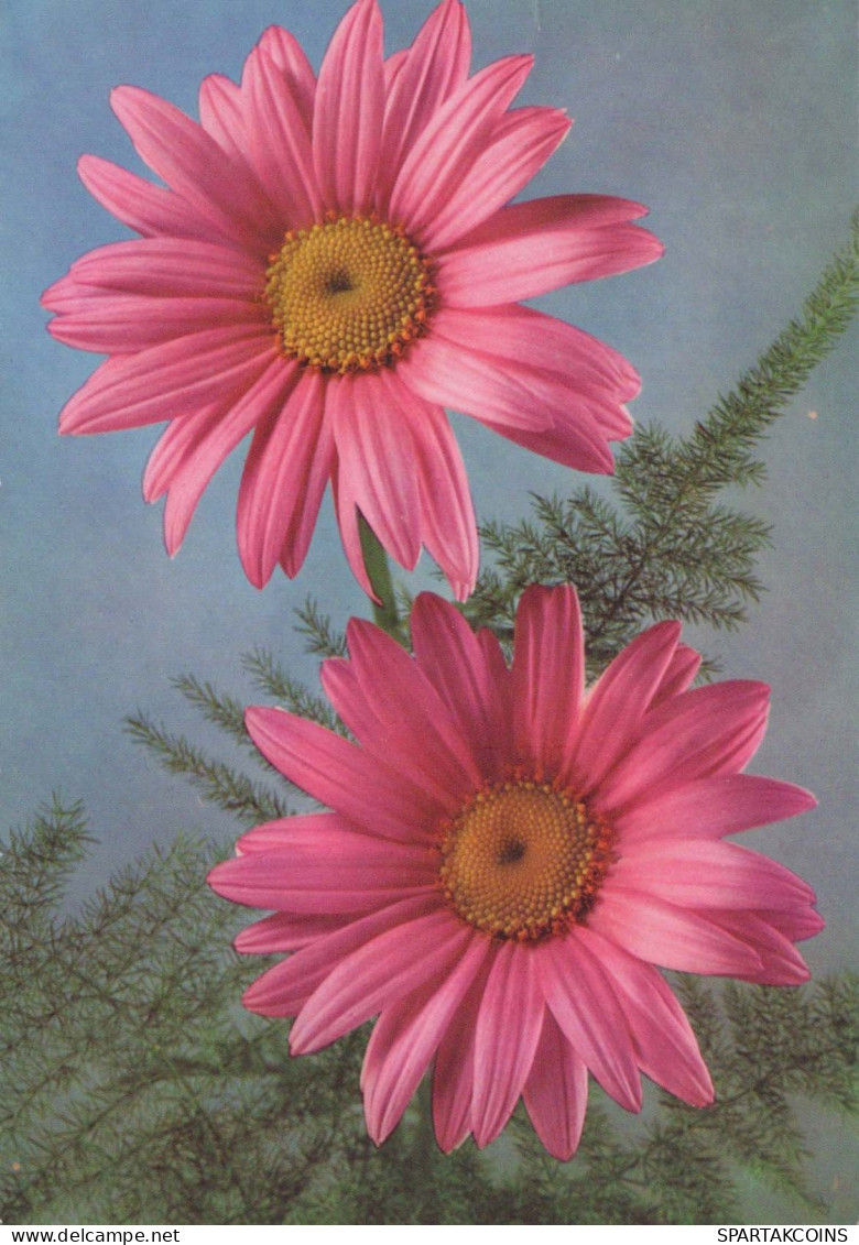 FLORES Vintage Tarjeta Postal CPSM #PAR329.A - Flowers