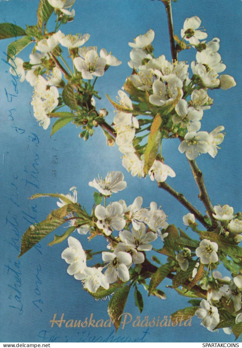 FLOWERS Vintage Postcard CPSM #PAR108.A - Blumen