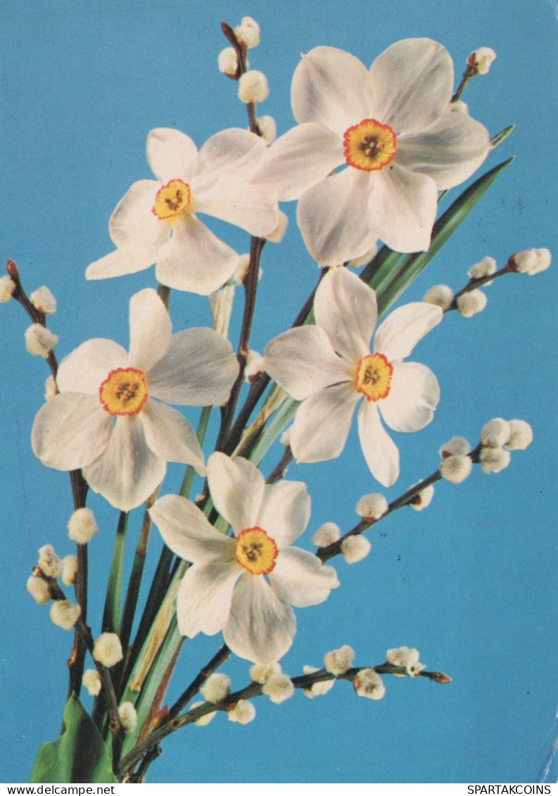 FLOWERS Vintage Ansichtskarte Postkarte CPSM #PAR022.A - Fleurs