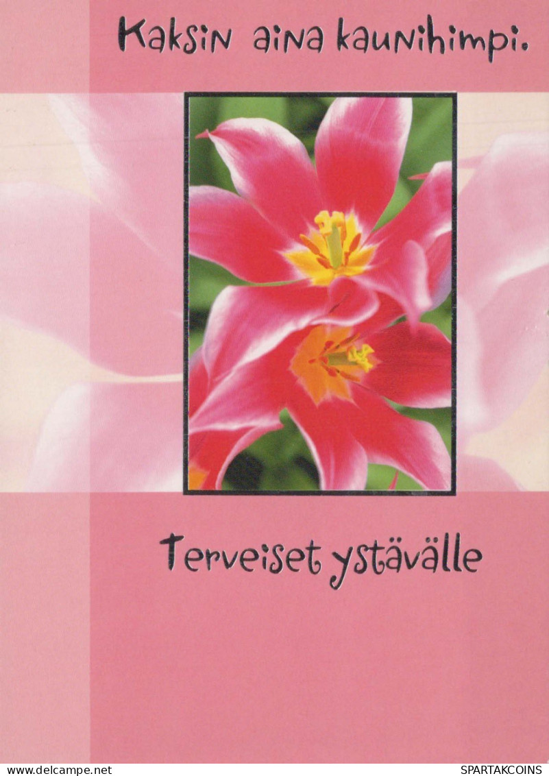 FLOWERS Vintage Ansichtskarte Postkarte CPSM #PBZ893.A - Flowers