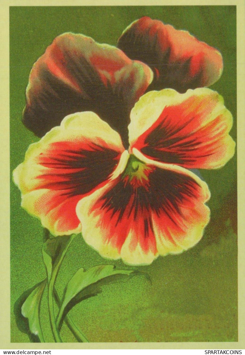 FLEURS Vintage Carte Postale CPSM #PBZ597.A - Blumen