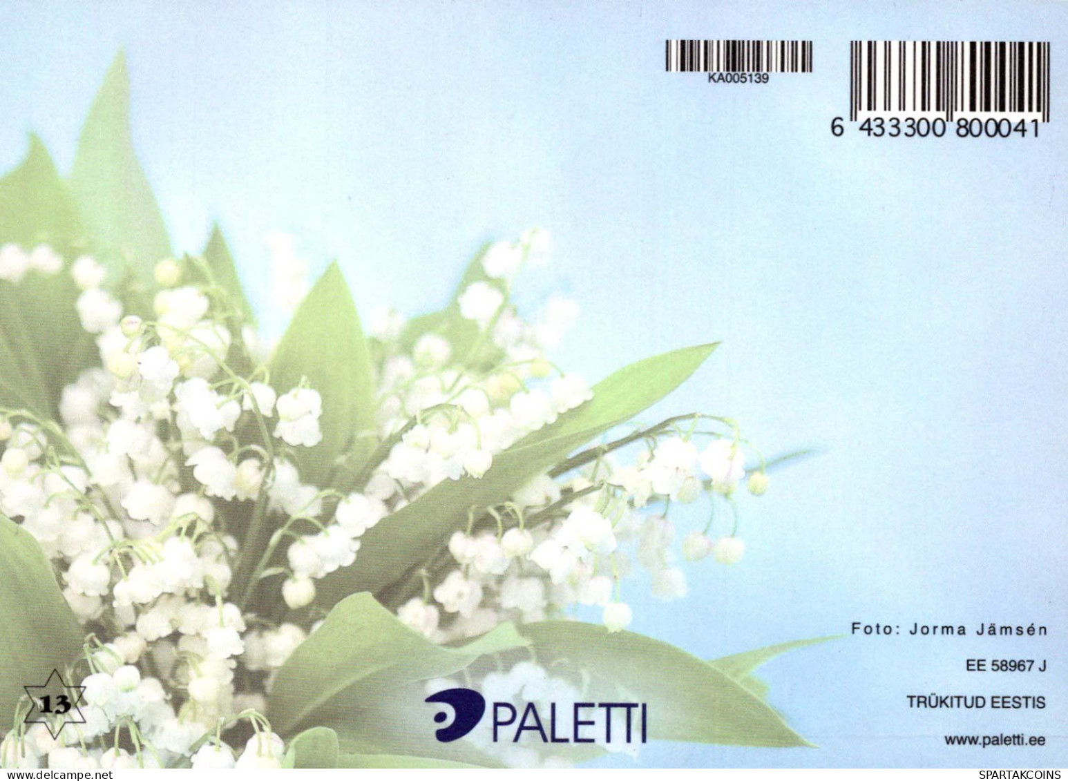 FLOWERS Vintage Postcard CPSM #PBZ709.A - Flowers