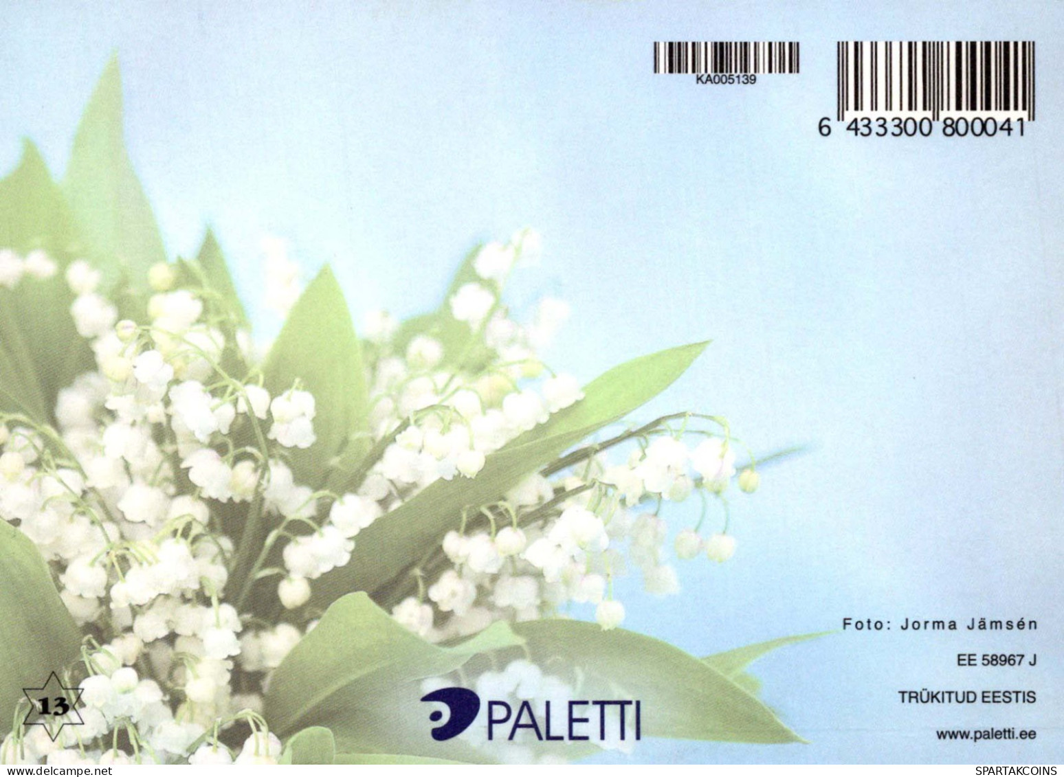 FLOWERS Vintage Postcard CPSM #PBZ684.A - Flowers