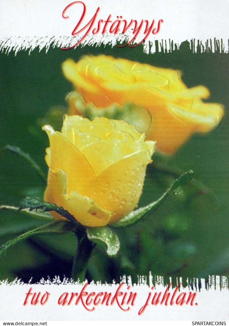 FLOWERS Vintage Postcard CPSM #PBZ154.A - Blumen