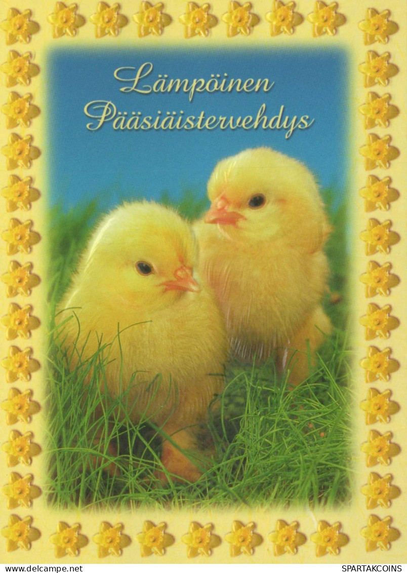 EASTER CHICKEN EGG Vintage Postcard CPSM #PBP197.A - Easter