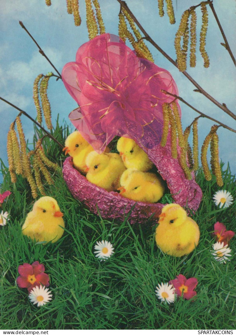 PASQUA POLLO UOVO Vintage Cartolina CPSM #PBO863.A - Ostern