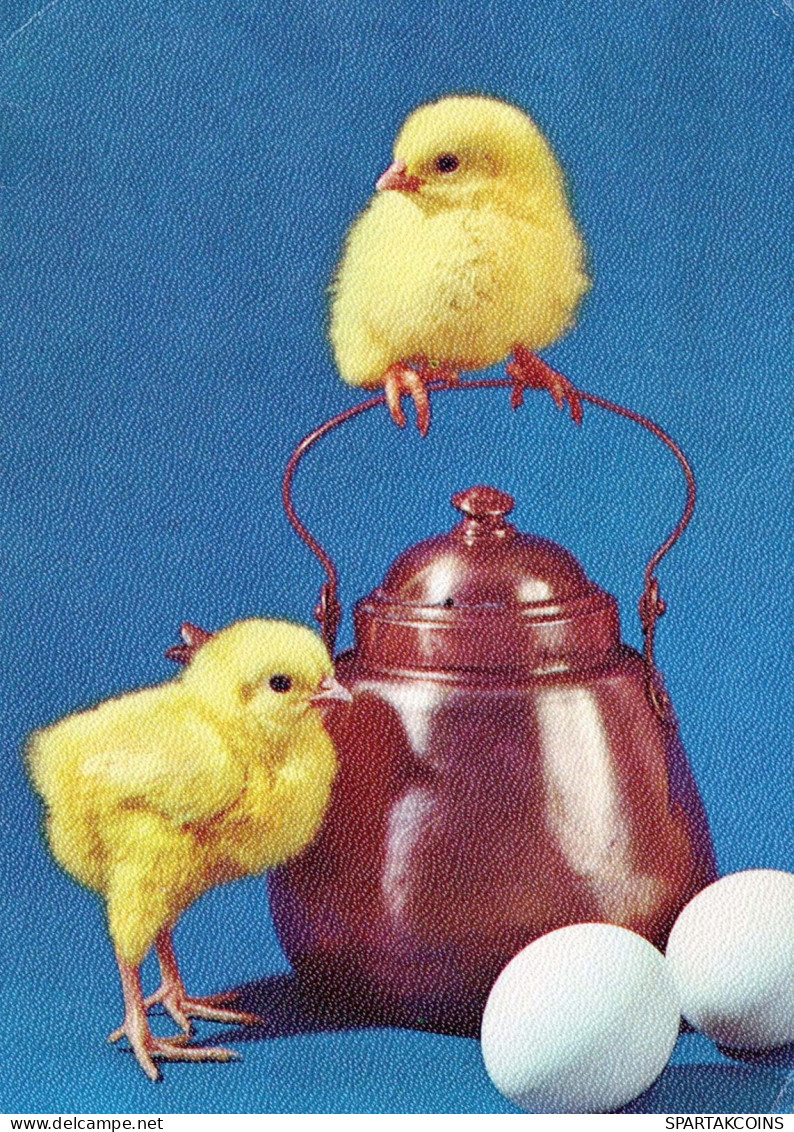 PASQUA POLLO UOVO Vintage Cartolina CPSM #PBO763.A - Ostern