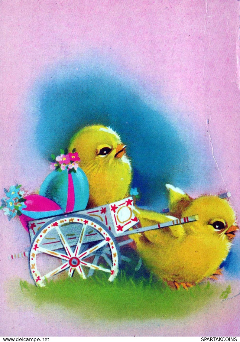 EASTER CHICKEN EGG Vintage Postcard CPSM #PBO741.A - Easter