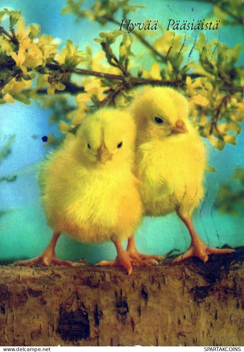 OSTERN HUHN EI Vintage Ansichtskarte Postkarte CPSM #PBO695.A - Easter