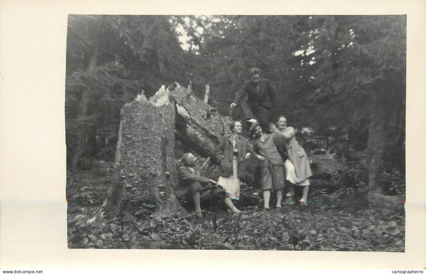 Social History Souvenir Photo Postcard Elegant Friends In Forest - Fotografie