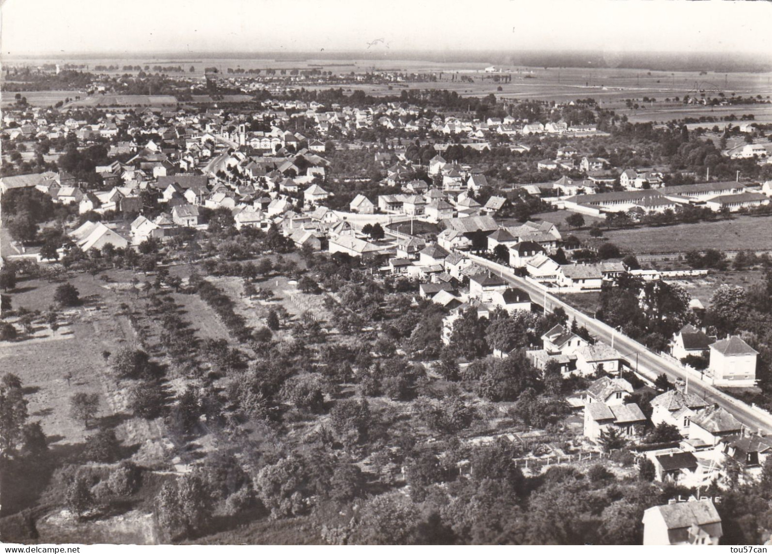 SAUSHEIM   -   HAUT-RHIN  -  (68)  -  CPSM  DENTELEE  DES  ANNEES  1950/1960. - Sonstige & Ohne Zuordnung