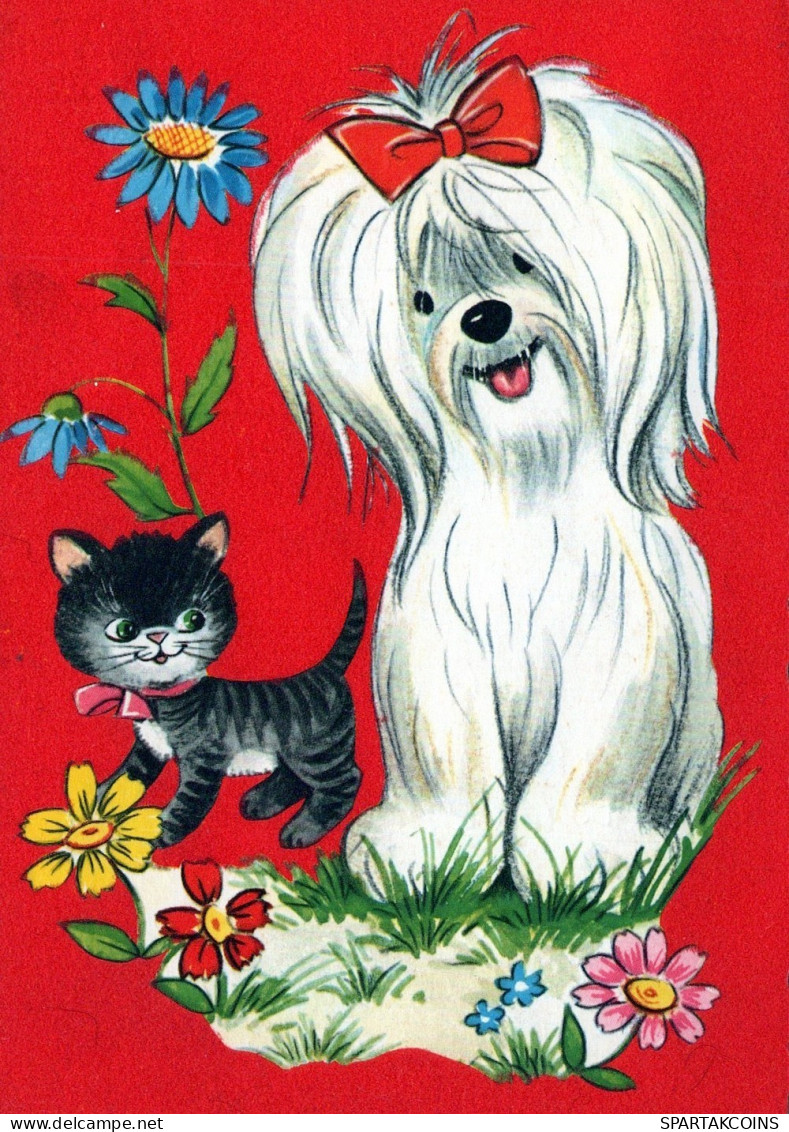 PERRO Animales Vintage Tarjeta Postal CPSM #PAN593.A - Honden