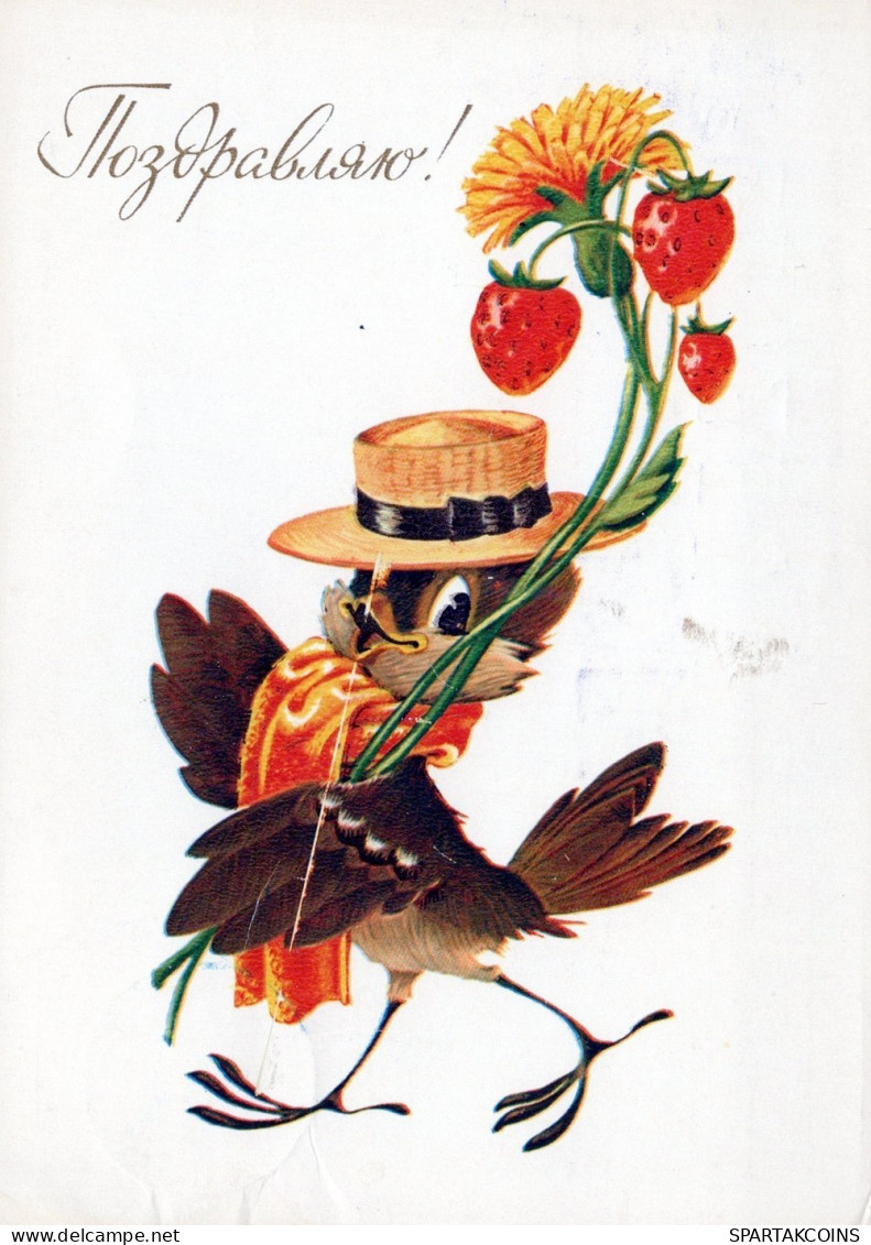UCCELLO Animale Vintage Cartolina CPSM #PAN354.A - Vögel