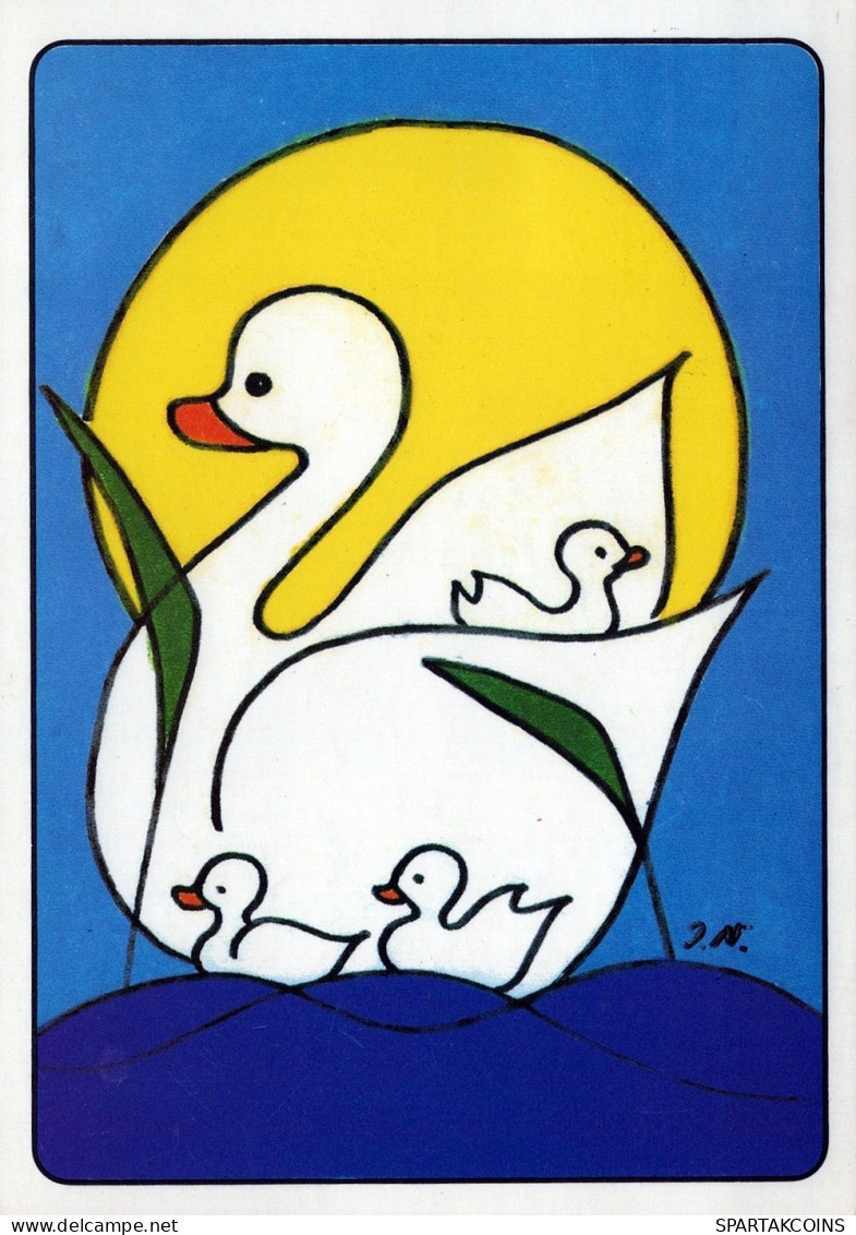 BIRD Animals Vintage Postcard CPSM #PAN322.A - Oiseaux