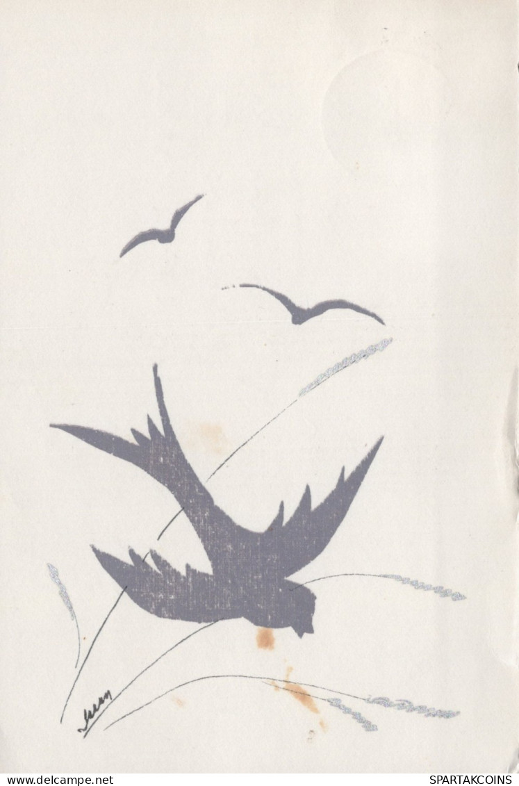 OISEAU Animaux Vintage Carte Postale CPSM #PAN210.A - Uccelli