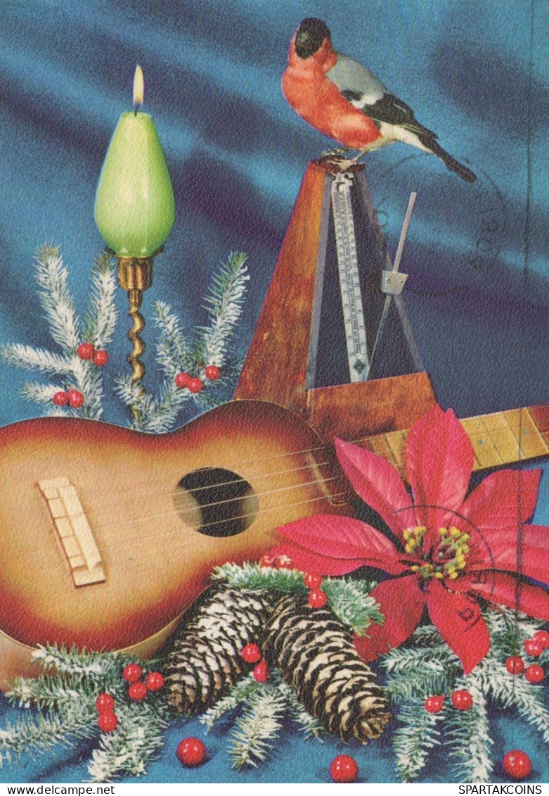 OISEAU Animaux Vintage Carte Postale CPSM #PAN090.A - Uccelli