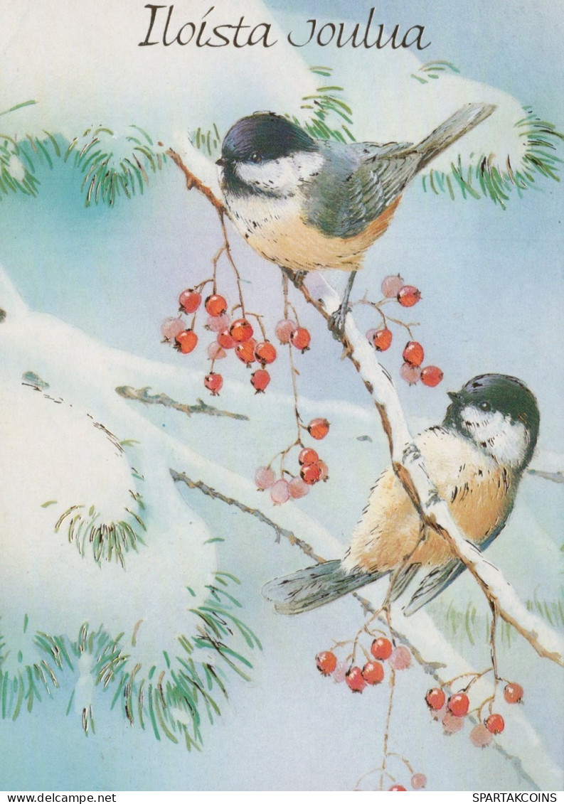 VOGEL Tier Vintage Ansichtskarte Postkarte CPSM #PAM965.A - Vögel