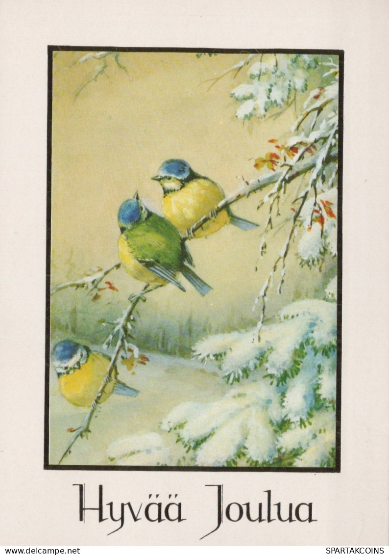 UCCELLO Animale Vintage Cartolina CPSM #PAM973.A - Birds