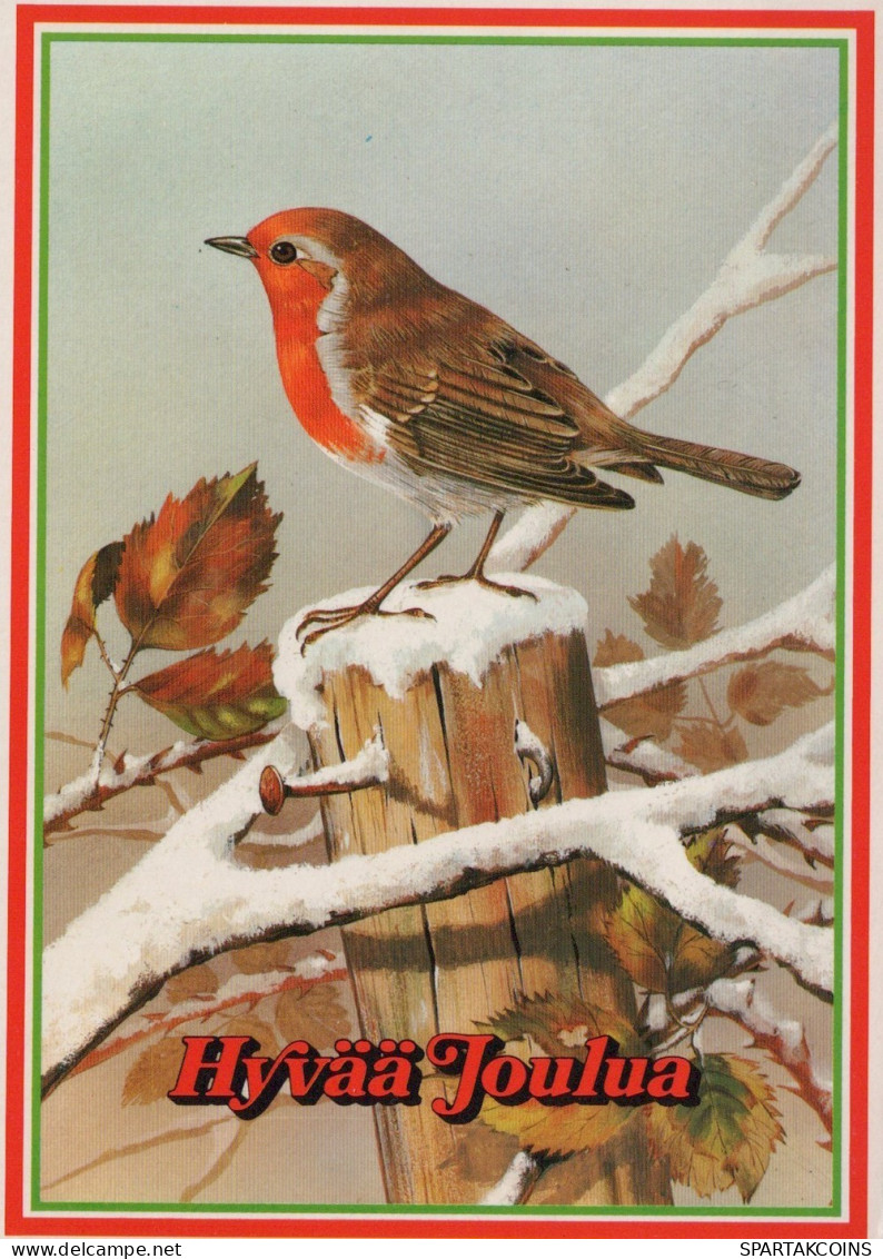 PÁJARO Animales Vintage Tarjeta Postal CPSM #PAN018.A - Uccelli