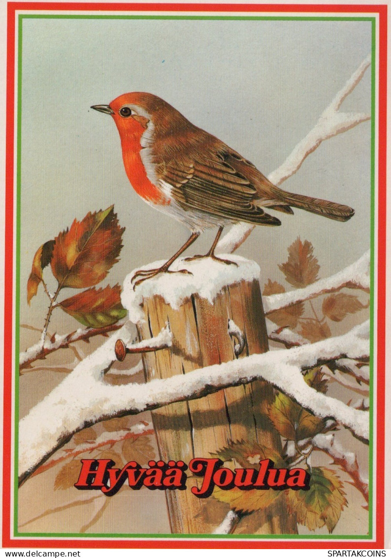 PÁJARO Animales Vintage Tarjeta Postal CPSM #PAN018.A - Vögel