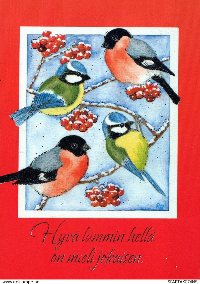 VOGEL Tier Vintage Ansichtskarte Postkarte CPSM #PAM850.A - Vögel