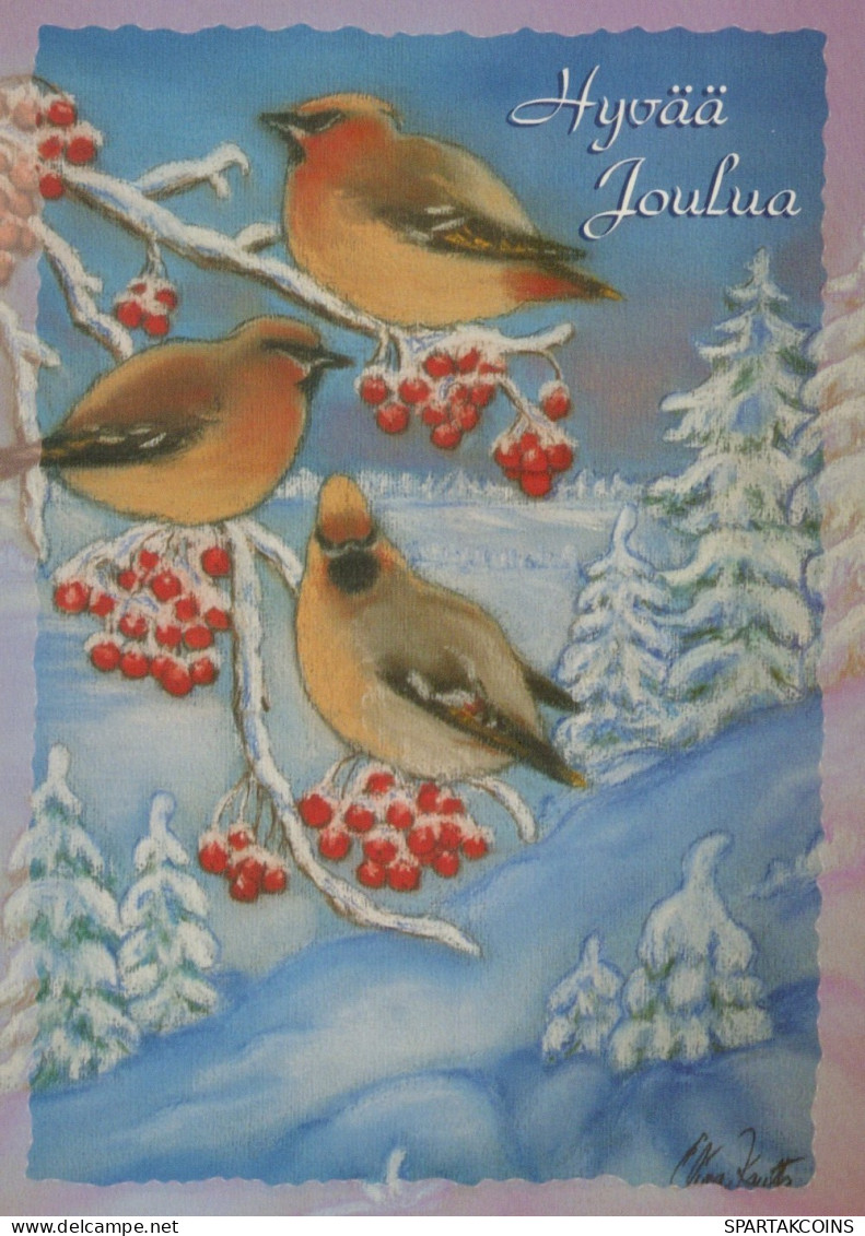 UCCELLO Animale Vintage Cartolina CPSM #PAM873.A - Vögel