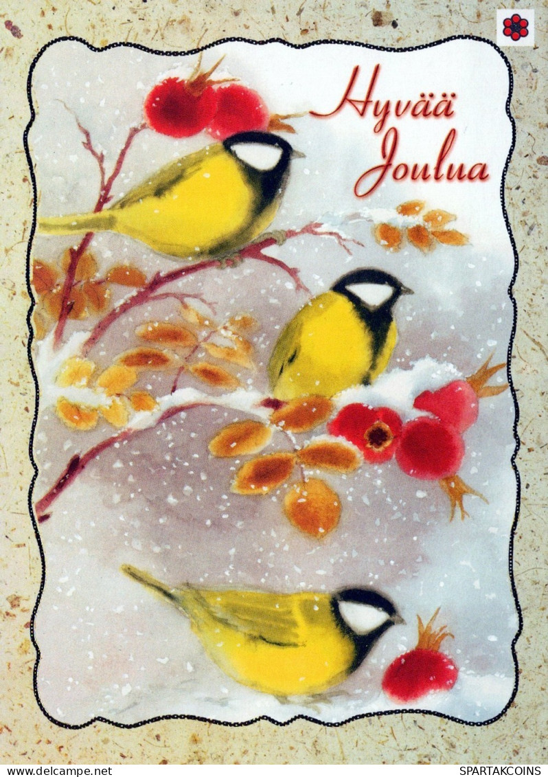 VOGEL Tier Vintage Ansichtskarte Postkarte CPSM #PAM865.A - Vögel