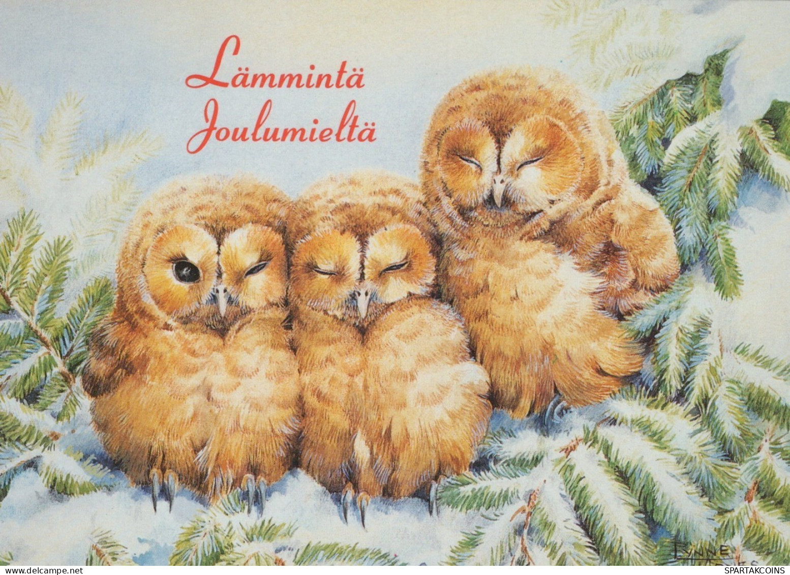 UCCELLO Animale Vintage Cartolina CPSM #PAM738.A - Vögel