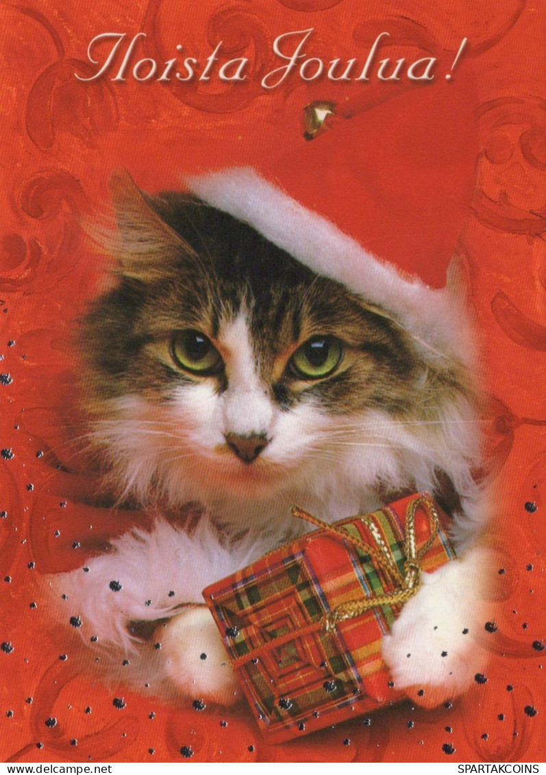 KATZE MIEZEKATZE Tier Vintage Ansichtskarte Postkarte CPSM #PAM575.A - Cats
