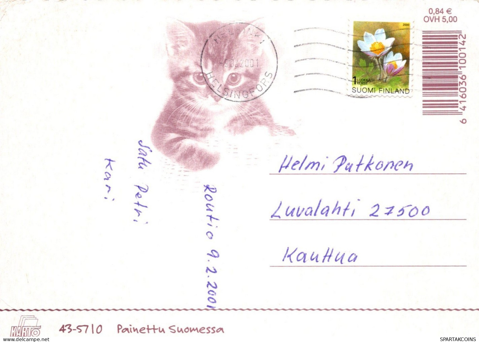 GATO GATITO Animales Vintage Tarjeta Postal CPSM #PAM567.A - Cats