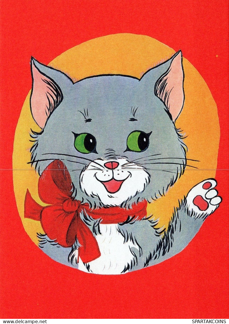 KATZE MIEZEKATZE Tier Vintage Ansichtskarte Postkarte CPSM Unposted #PAM335.A - Cats