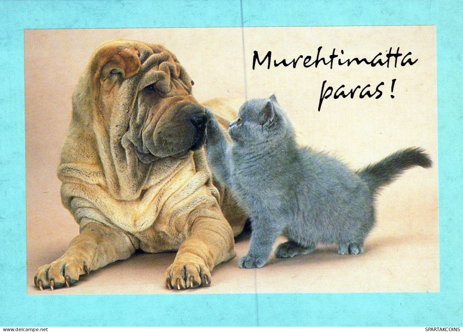 CHAT CHAT Animaux Vintage Carte Postale CPSM #PAM394.A - Chats